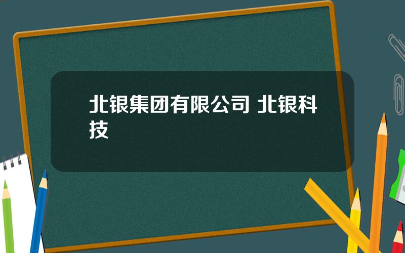 北银集团有限公司 北银科技